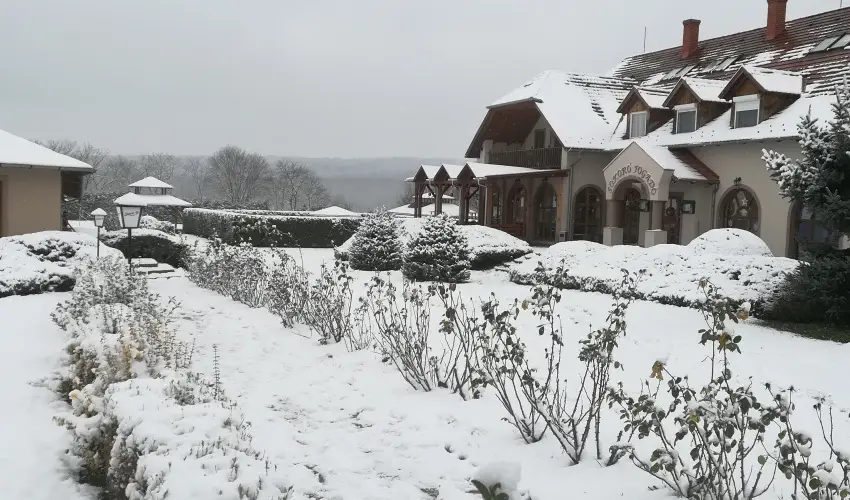 Sokor Fogad Sokorptka - Pnksdi pihens (min. 3 j)