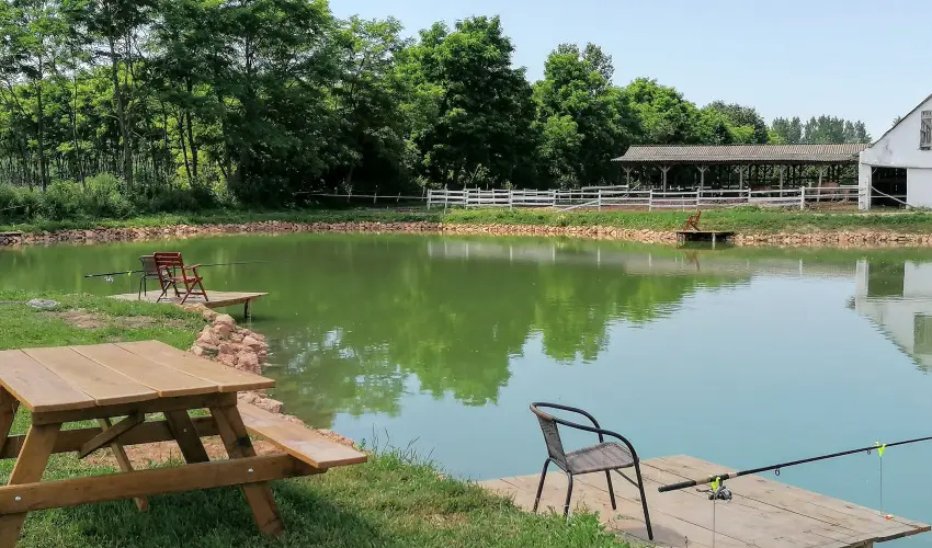 Sokor Fogad Sokorptka - Pnksdi pihens (min. 3 j)