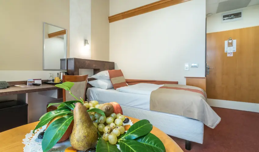 Hotel Spa H�v�z H�v�z - P�nk�sd