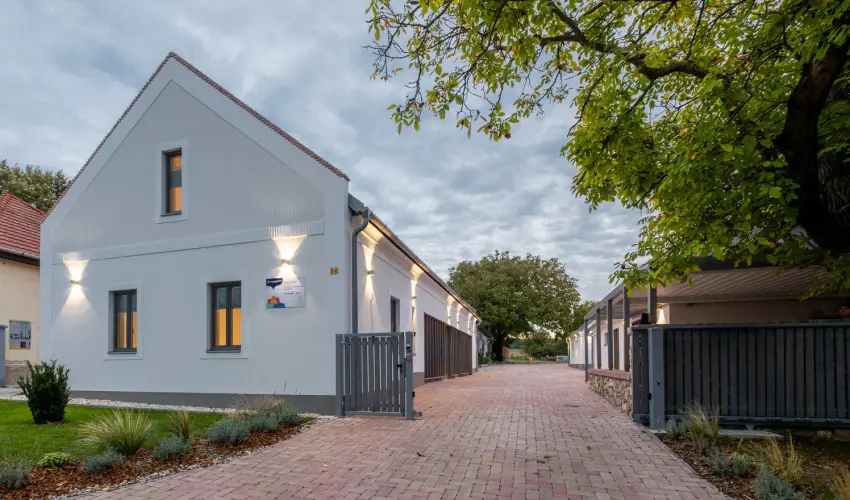 Stadium Home Panzi Barnag - Pnksd (min. 2 j)