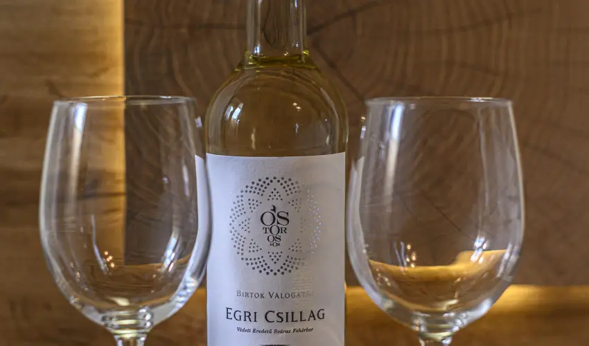 Sweet-Life Wellness Apartman Egerszal�k - P�nk�sd