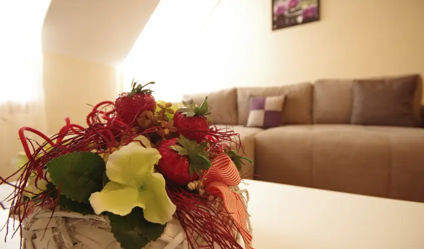 Szam�c�s Apartman Gyula - P�nk�sd (min. 2 �j)