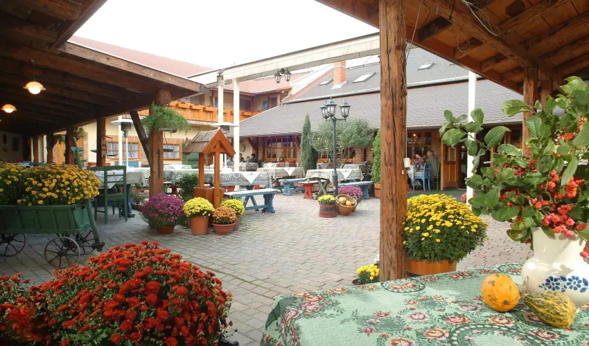 Szrcsa Hotel Szkesfehrvr - Pnksdi virglom s Szrcsa szlinap Szkesfehrvron