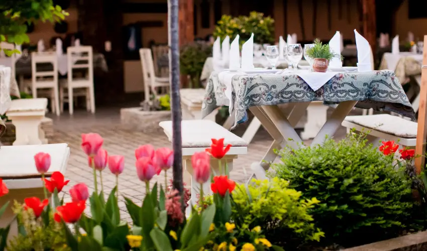 Szrcsa Hotel Szkesfehrvr - Pnksdi virglom s Szrcsa szlinap Szkesfehrvron