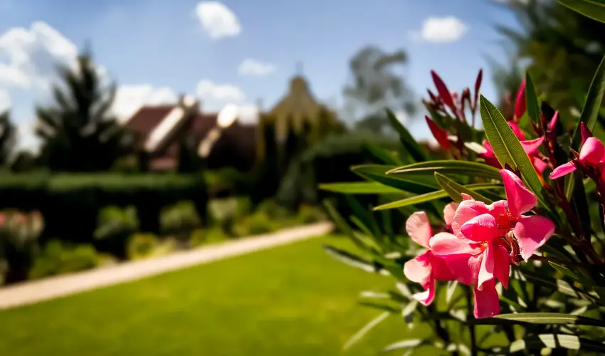 Szent Istvn Hotel Eger - Pnksd