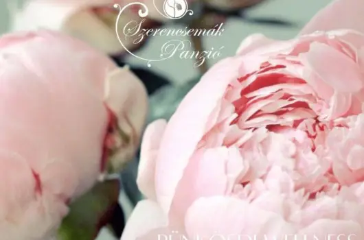 Szerencsemk Panzi - Pnksd (min. 2 j)