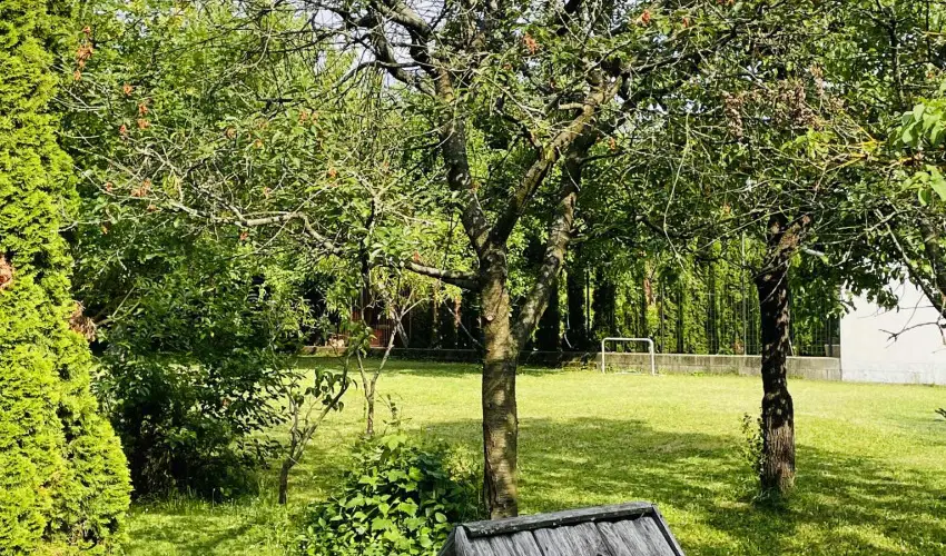 Szilv�sv�rad Camping & Apartman Szilv�sv�rad - P�nk�sd