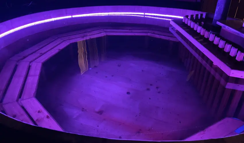 Tams Apartman Balatonfldvr - Pnksd (min. 7 j)