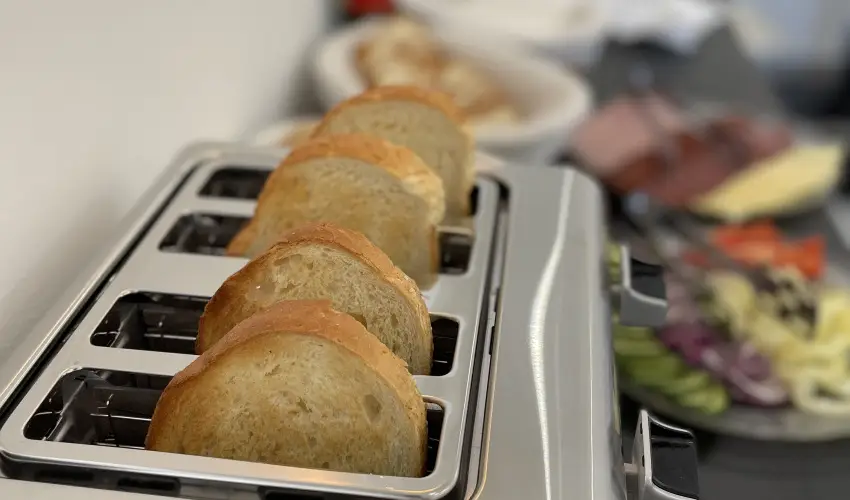 Svirg Terml Panzi Hajdnns - Pnksd