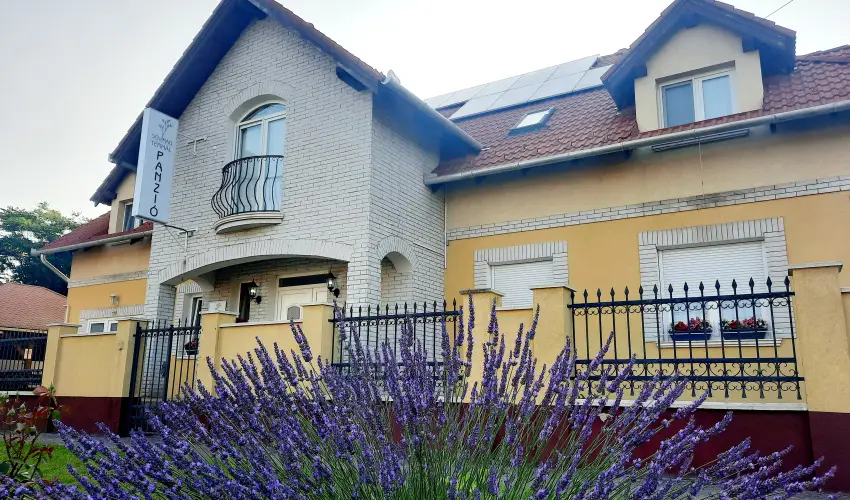 Svirg Terml Panzi Hajdnns - Pnksd