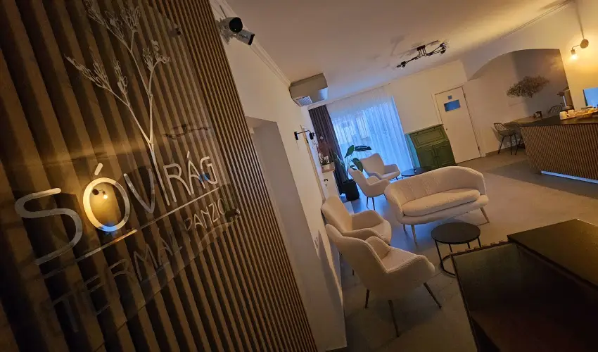 Svirg Terml Panzi Hajdnns - Pnksd