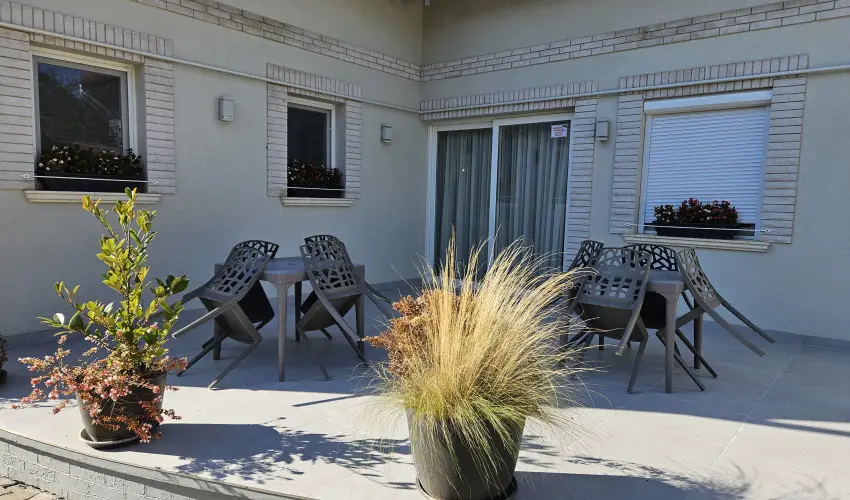 Svirg Terml Panzi Hajdnns - Pnksd