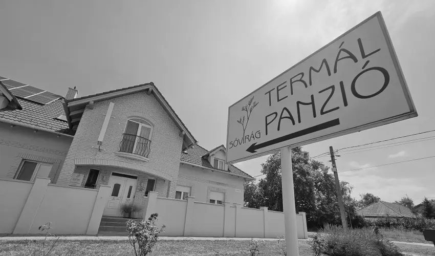 S�vir�g Term�l Panzi� Hajd�n�n�s - P�nk�sd