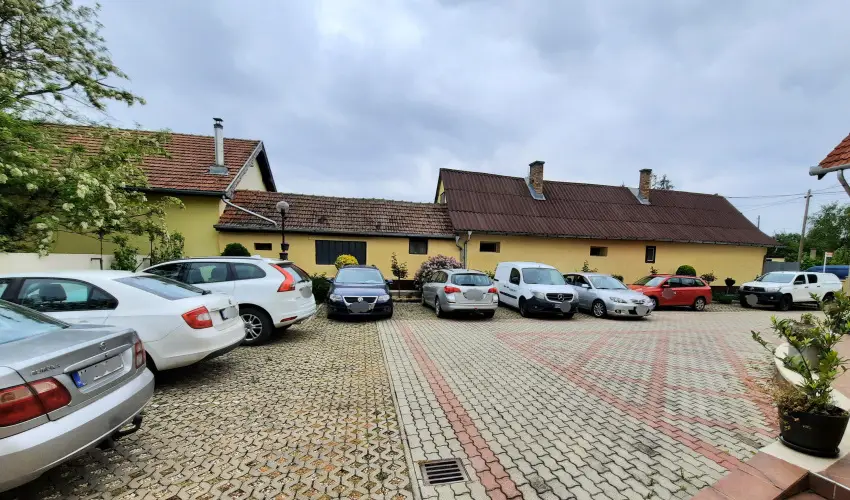 Svirg Terml Panzi Hajdnns - Pnksd