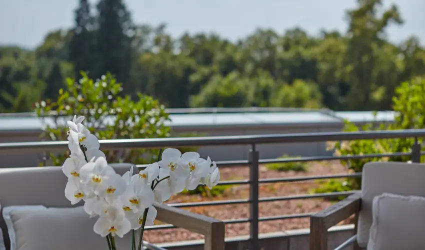 Thermal Hotel Balance  Lenti - P�nk�sd  (min. 3 �j)