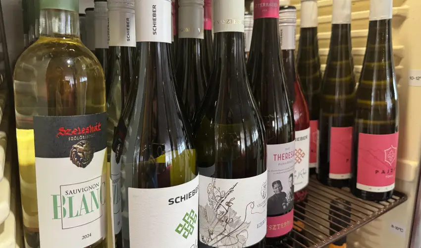 Thermal Hotel Tengelic Tengelic - P�nk�sd