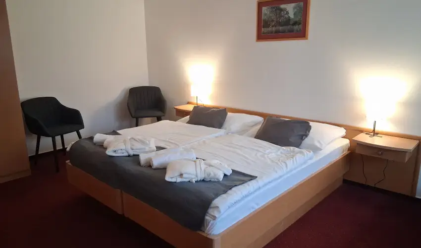 Thermal Hotel Tengelic Tengelic - P�nk�sd