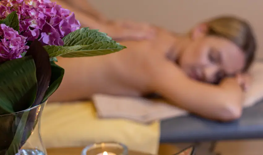 Thermal Hotel Visegrd Visegrd - Pnksd (min. 3 j)