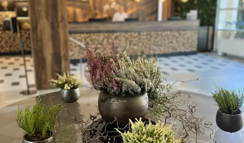 Thermal Hotel Visegrd Visegrd - Pnksd (min. 3 j)