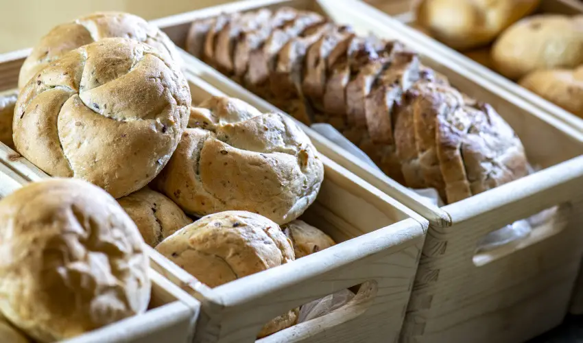 Term�l Apartmanok & Kemping Hark�ny Hark�ny - P�nk�sd