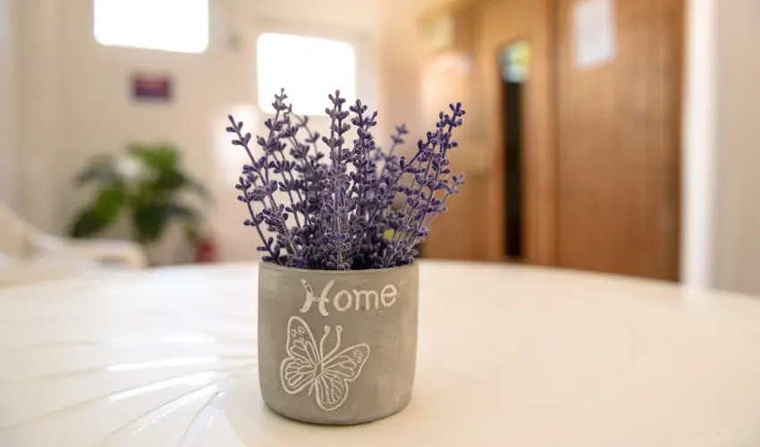 Thermal Panzi Igal Igal - Pnksd (min. 2 j)