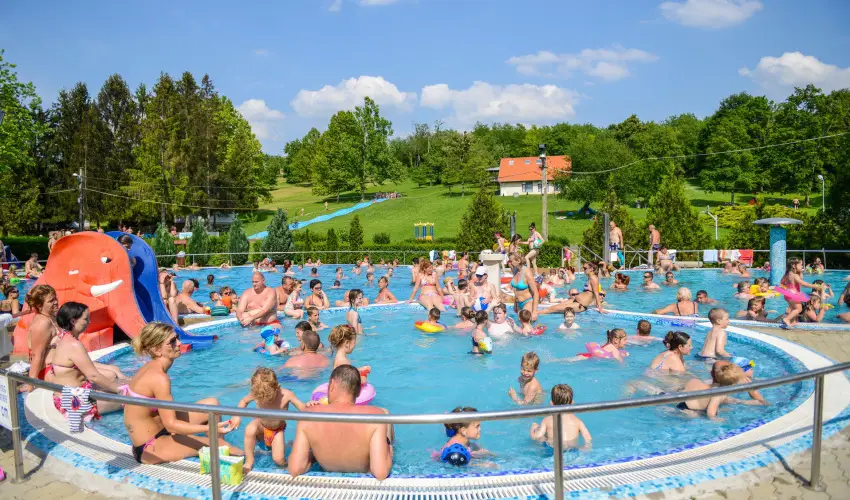 Thermal Panzi Igal Igal - Pnksd (min. 2 j)