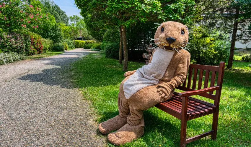 Tisza Balneum Hotel Tiszafred - Pnksd (min. 3 j)