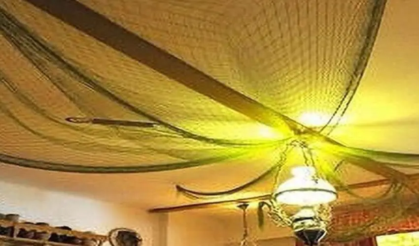 Tiszacsegei Halszcsrda s Panzi  Tiszacsege - Pnksd 