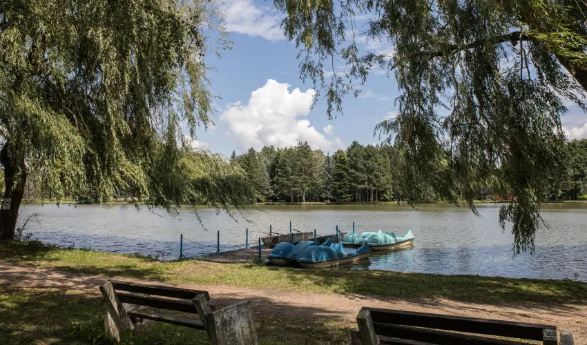 T-Part Panzi & Rendezvnykzpont Kszeg - Pnksd