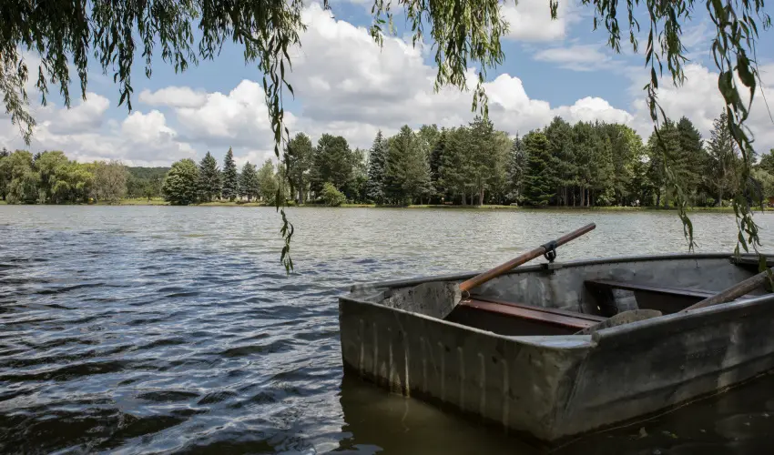 T-Part Panzi & Rendezvnykzpont Kszeg - Pnksd