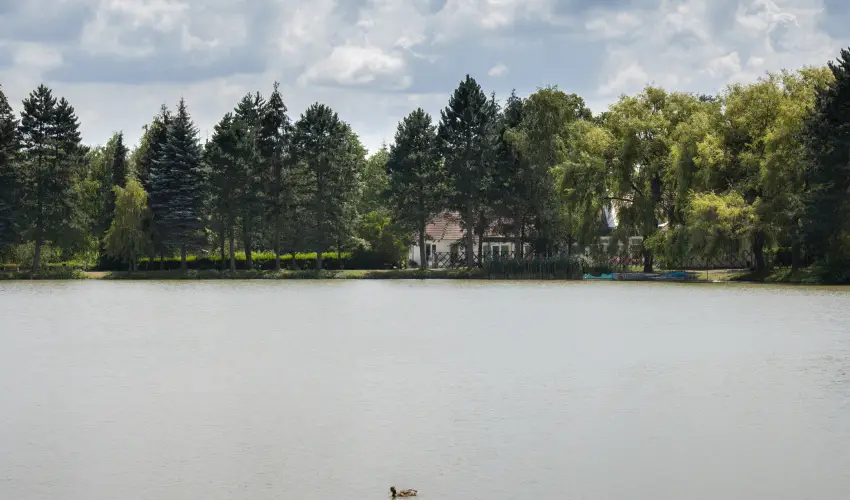 T-Part Panzi & Rendezvnykzpont Kszeg - Pnksd