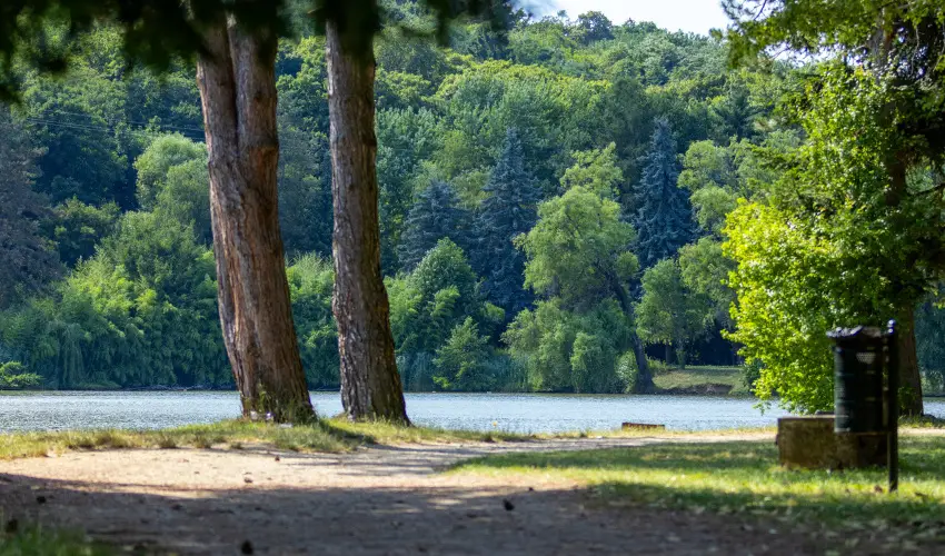 T-Part Panzi & Rendezvnykzpont Kszeg - Pnksd