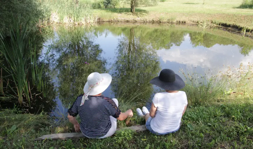 T� Wellness Hotel B�nk - P�nk�sd (min. 2 �j)