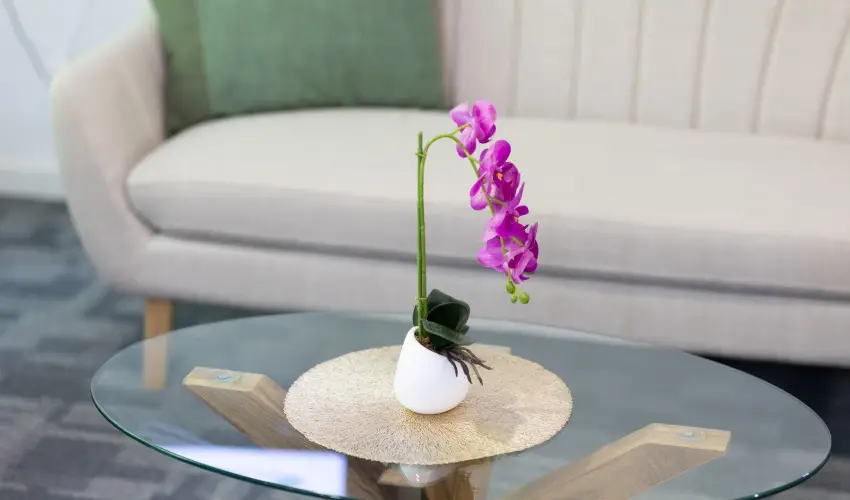 Zam�rdi TOK Zam�rdi - P�nk�sd (min. 2 �j)