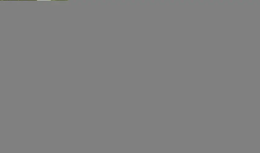 Torn�cos Vend�gh�z K�r�shegy - P�nk�sd (min. 3 �j)