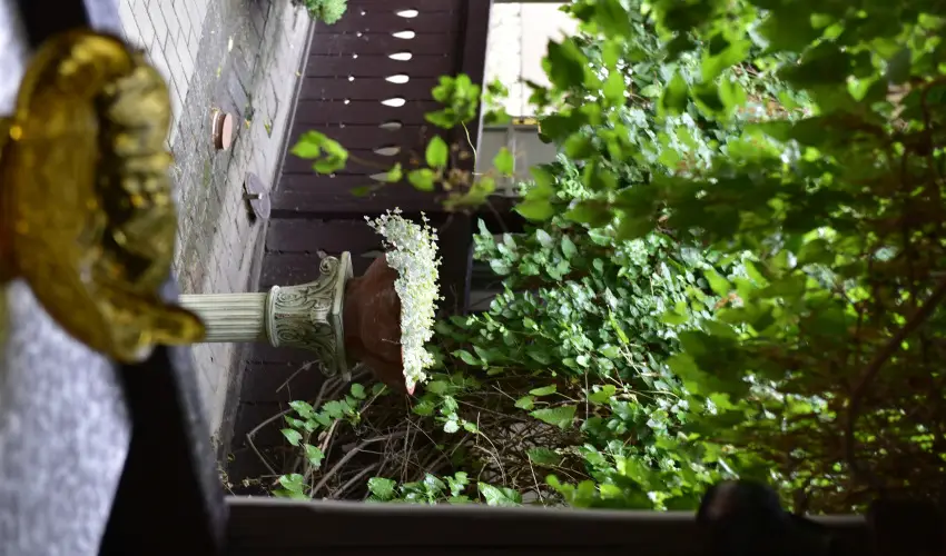 Torn�cos Vend�gh�z K�r�shegy - P�nk�sd (min. 3 �j)