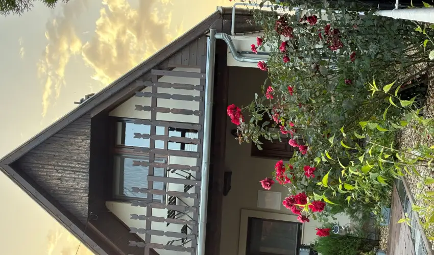 T�csi lak Szigetszentm�rton - P�nk�sd (min. 2 �j)