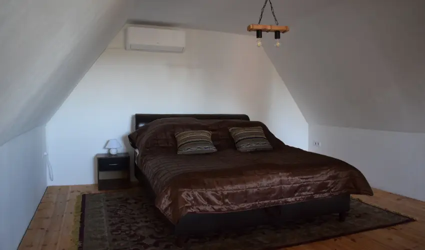 T�csi lak Szigetszentm�rton - P�nk�sd (min. 2 �j)