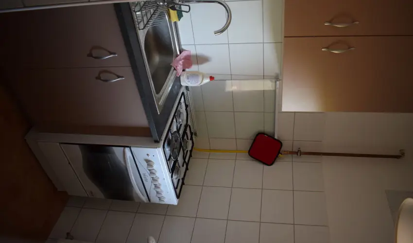 T�csi lak Szigetszentm�rton - P�nk�sd (min. 2 �j)