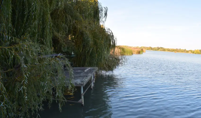 T�csi lak Szigetszentm�rton - P�nk�sd (min. 2 �j)