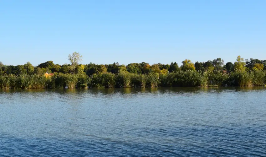 T�csi lak Szigetszentm�rton - P�nk�sd (min. 2 �j)