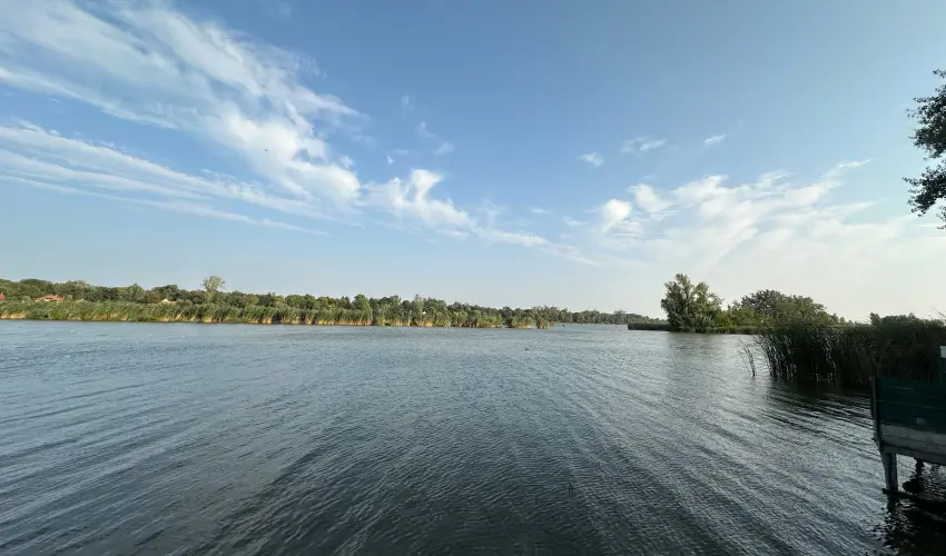 T�csi lak Szigetszentm�rton - P�nk�sd (min. 2 �j)