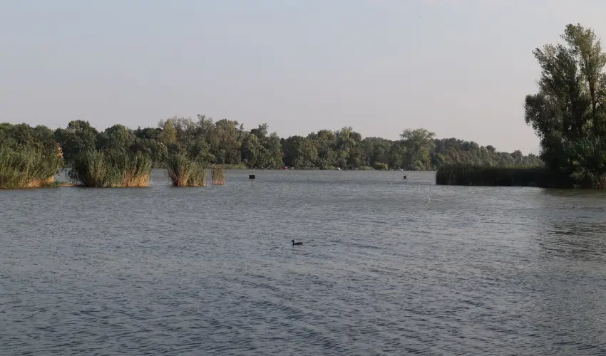 T�csi lak Szigetszentm�rton - P�nk�sd (min. 2 �j)