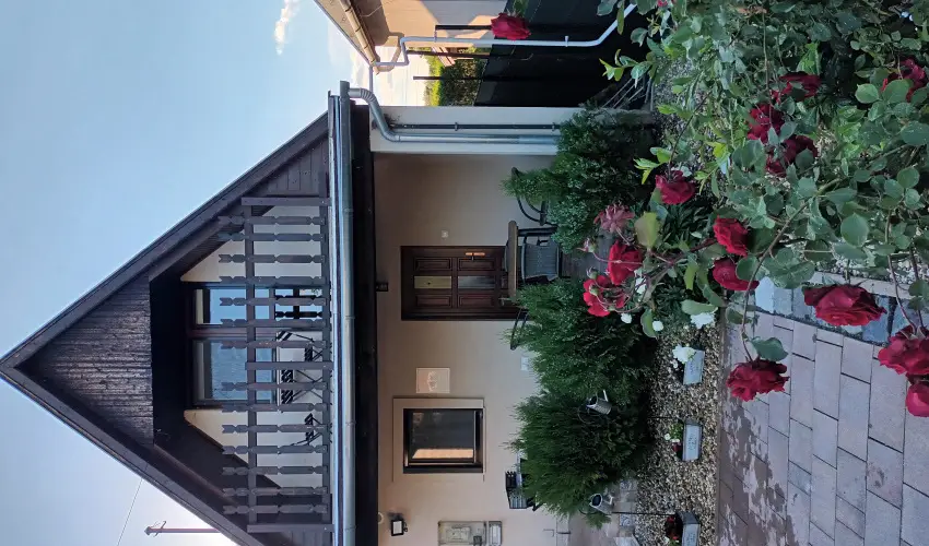 T�csi lak Szigetszentm�rton - P�nk�sd (min. 2 �j)