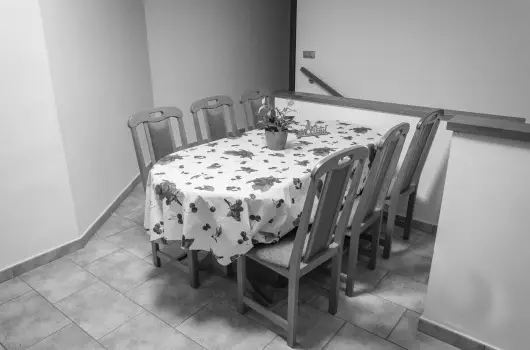 Tulipn Vendghz - Pnksd (min. 2 j)