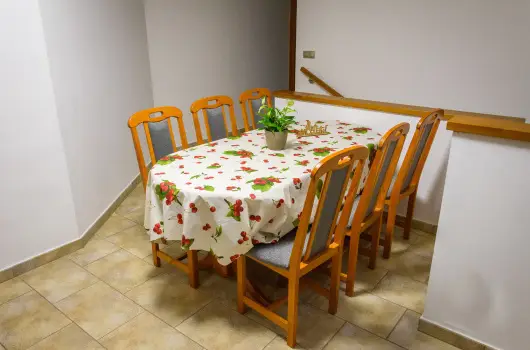 Tulipn Vendghz - Pnksd (min. 2 j)