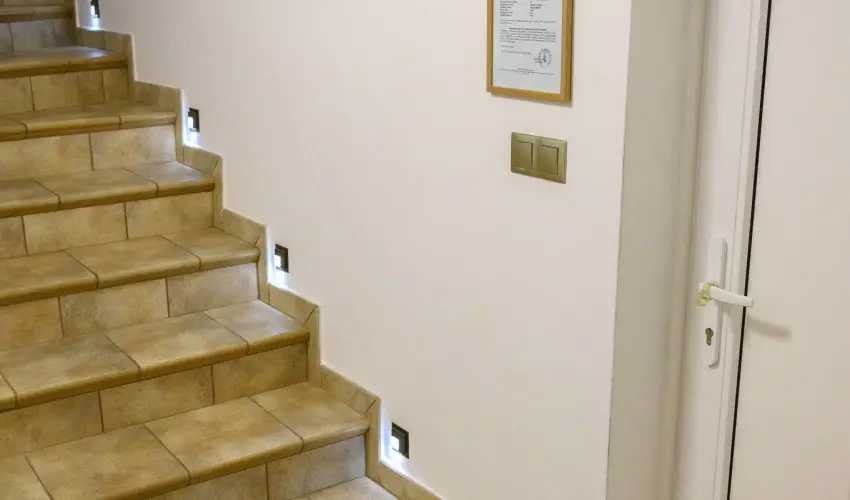 Tulipn Vendghz rvnyes - Pnksd (min. 2 j)