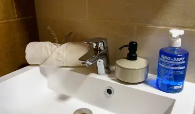 Tulipn Vendghz rvnyes