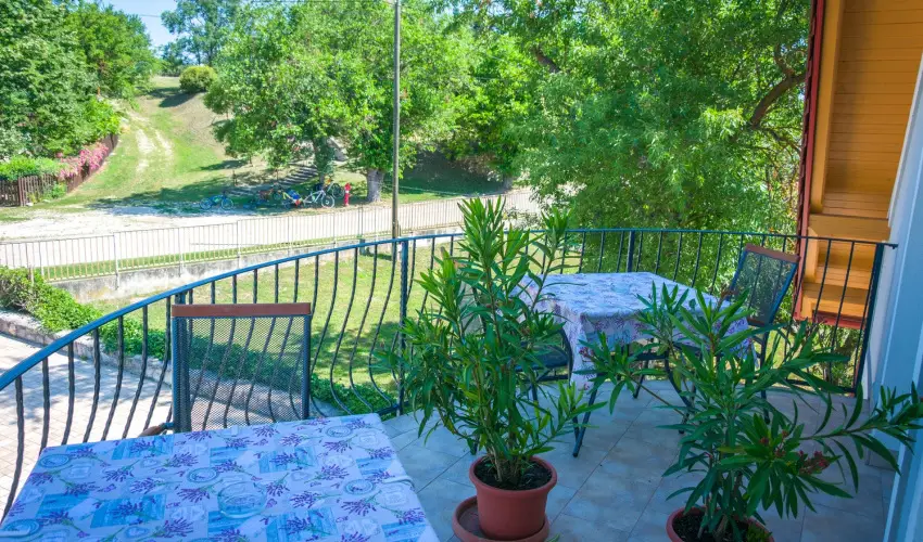 Tulipn Vendghz rvnyes - Pnksd (min. 2 j)