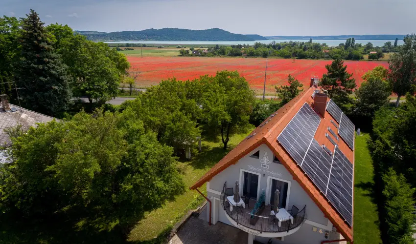 Tulipn Vendghz rvnyes - Pnksd (min. 2 j)